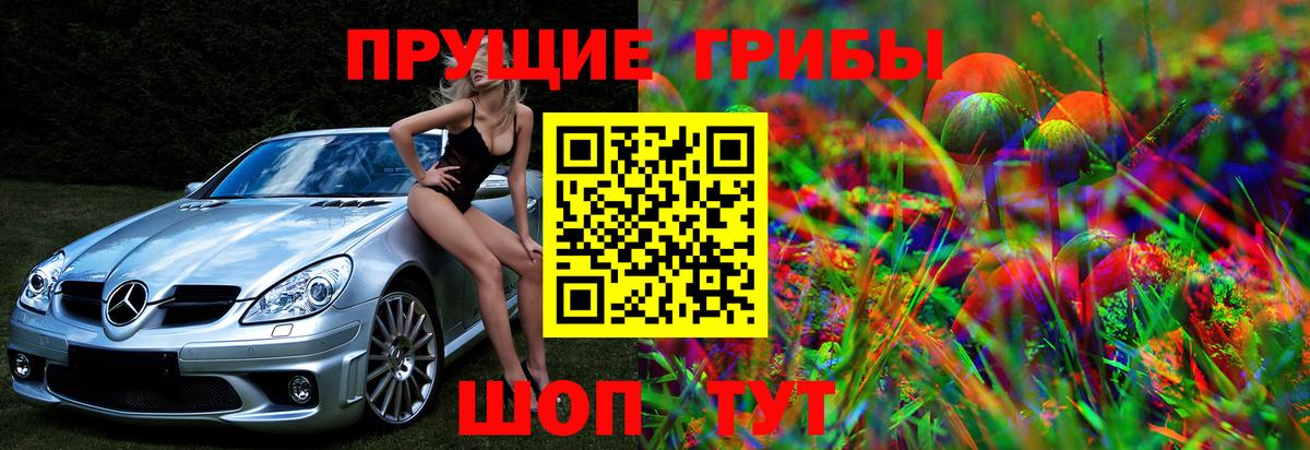 Псилоцибиновые грибы Magic Shrooms  Псилоцибиновые грибы мицелий  Кохма  сколько стоит  Вход с VPN 