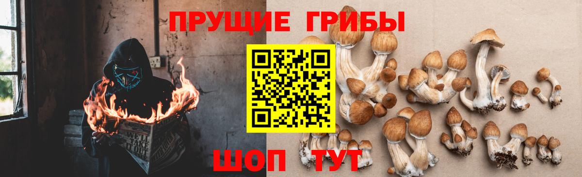 Меф кристаллы  Alpha PVP СОЛЬ кристаллы  Метадон  ГАШ  Вход с VPN  Меф МЯУ МЯУ  Марихуана  Кохма  Купить наркотик  NBOMe 